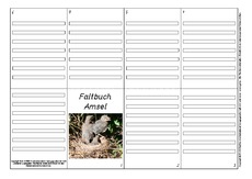 Faltbuch-Amsel-L-10.pdf